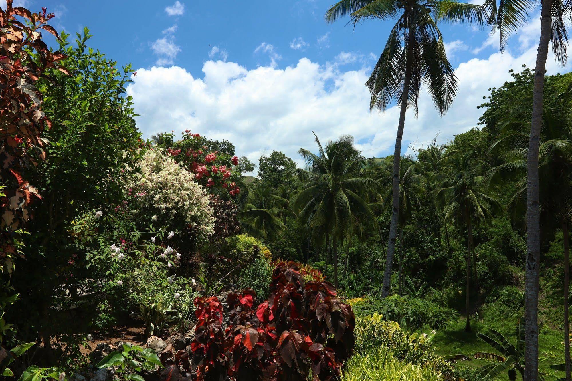 Guindulman Bay Tourist Inn Luaran gambar